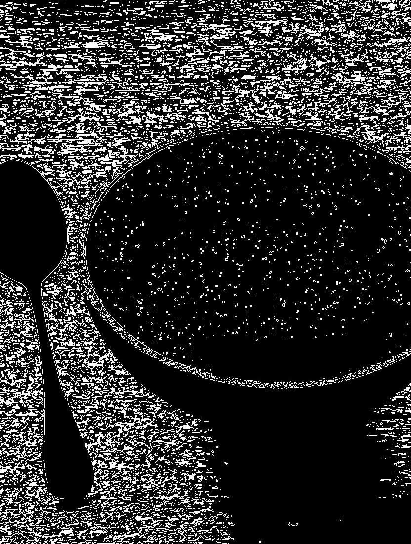 Canny image — first attempt: noise field instead of edge map